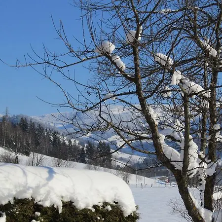 דירה Ramseiderhof