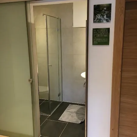 Ramseiderhof Apartment Saalfelden