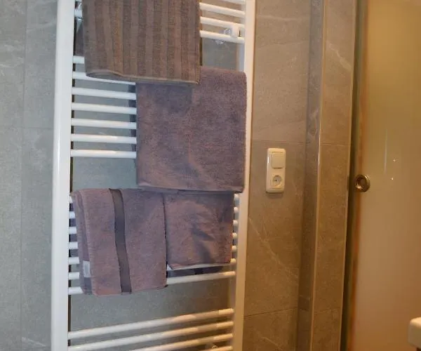 Ramseiderhof Daire Saalfelden